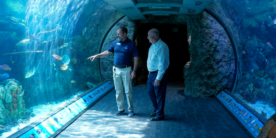 Aquarium Measurement