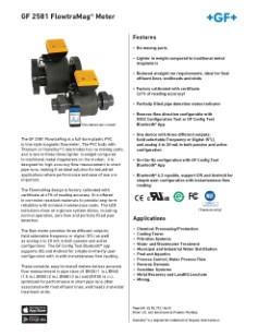 Datasheet Type 2581 FlowtraMag® Meter (EN)