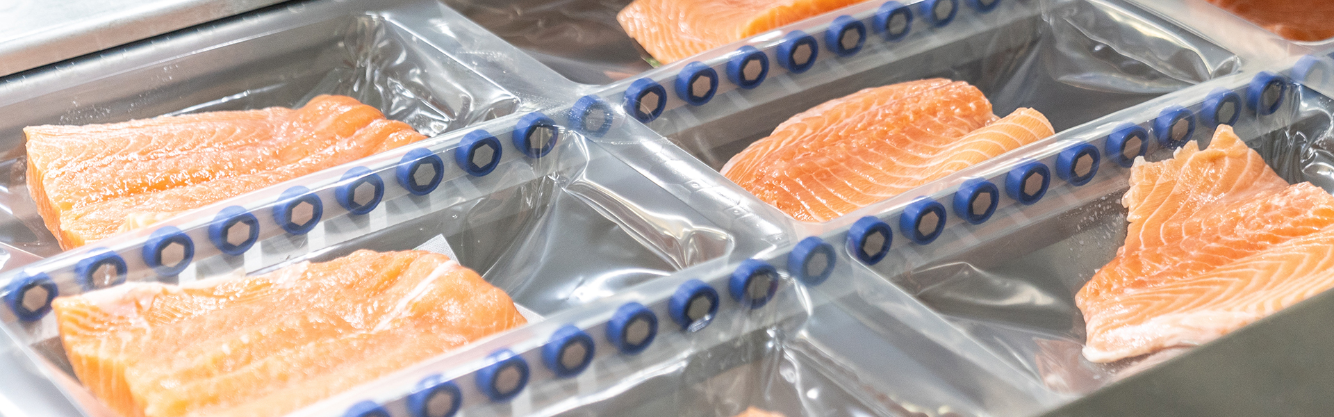 Fischproduktion / Verarbeitungsstrasse GF Piping Systems