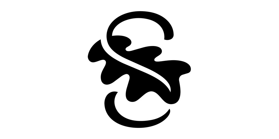 Icon von Fabian Staudenmanns Website