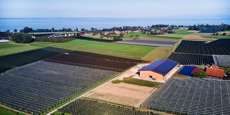 gfps_reference_case_cool-fit - Hungerbühler Fruit Farming .