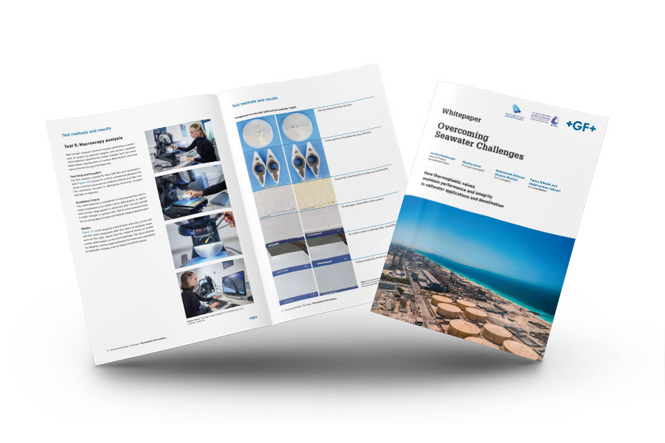 Whitepaper 565 + SWA
