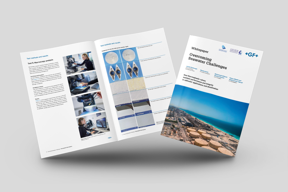 Whitepaper 565 + SWA